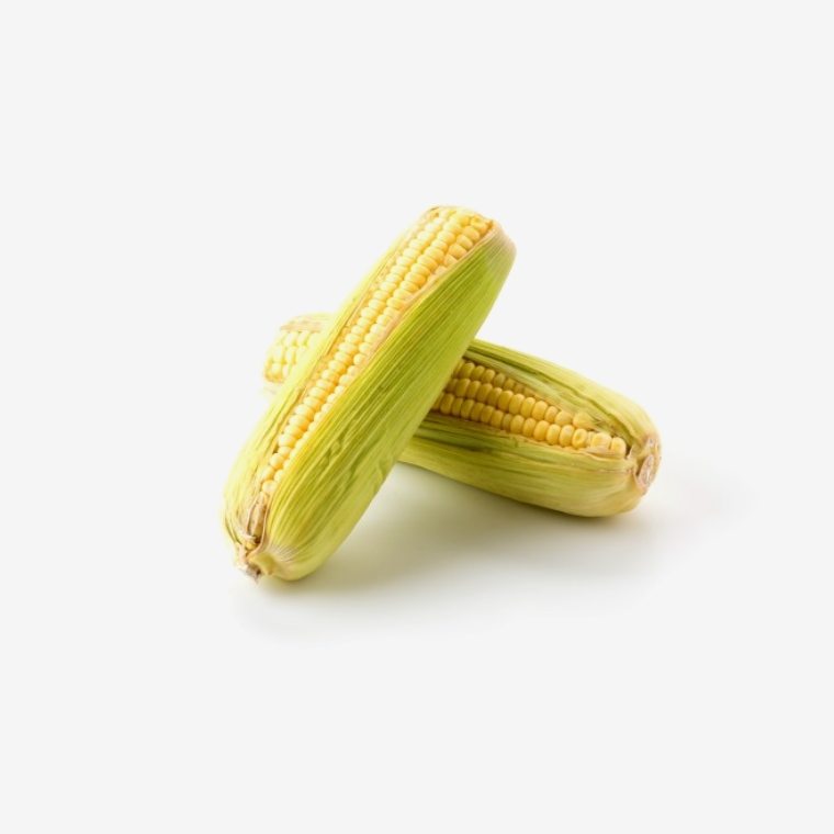 Bắp